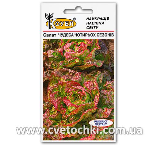 Салат «Чудеса четырёх сезонов» (1 г)