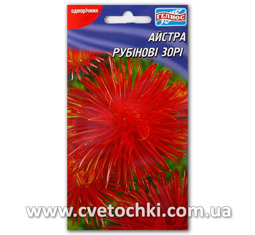 Астра «Рубиновые звёзды» (100 шт.)