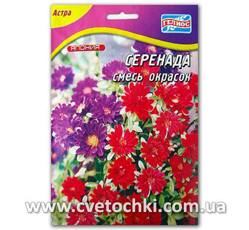 Астра «Серенада», смесь (50 шт.)