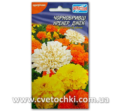 Бархатцы «Крекер Джек» (50 шт.)