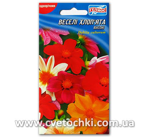 Георгина «Весёлые ребята» (30 шт.)
