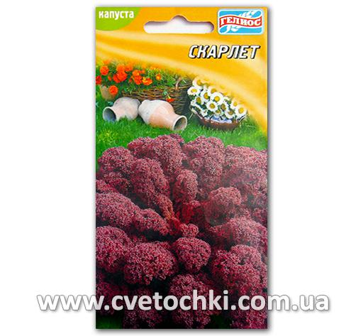 Капуста кудрявая «Скарлет» (30 шт.)