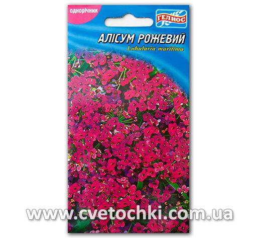 Алиссум розовый (500 шт.)