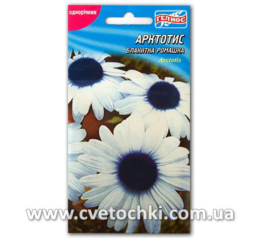 Арктотис/голубая ромашка (15 шт.)