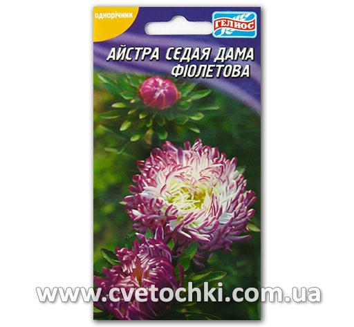 Астра «Седая дама» фиолетовая (100 шт.)