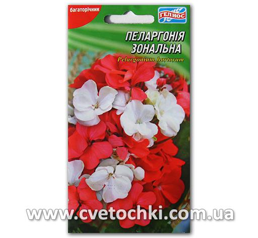 Пеларгония зональная (10 шт.)
