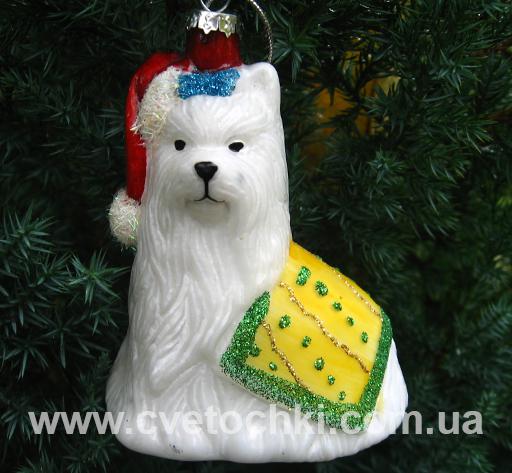 Собака белая