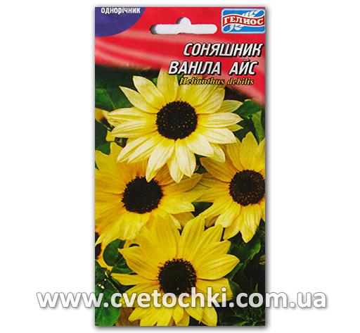 Подсолнух «Ванила айс» (10 шт.)