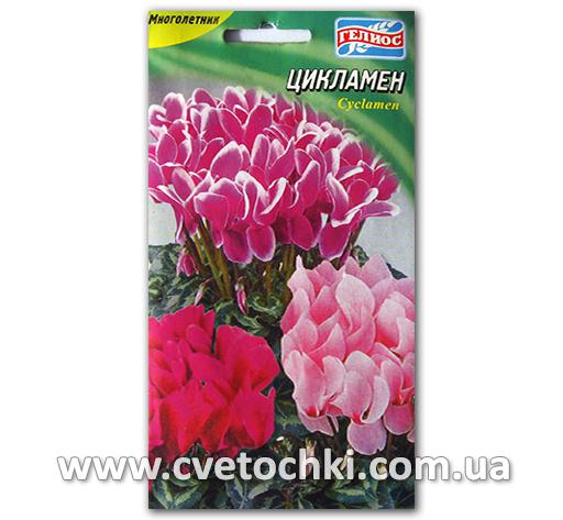Цикламен (5 шт.)