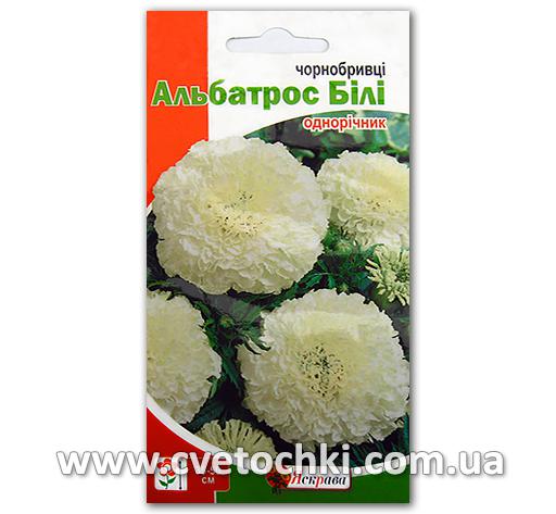 Бархатцы «Альбатрос» белые (7 шт.)