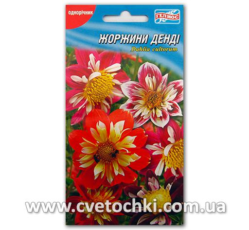 Георгины «Денди» (20 шт.)