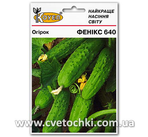 Огурец «Феникс 640» (5 г)