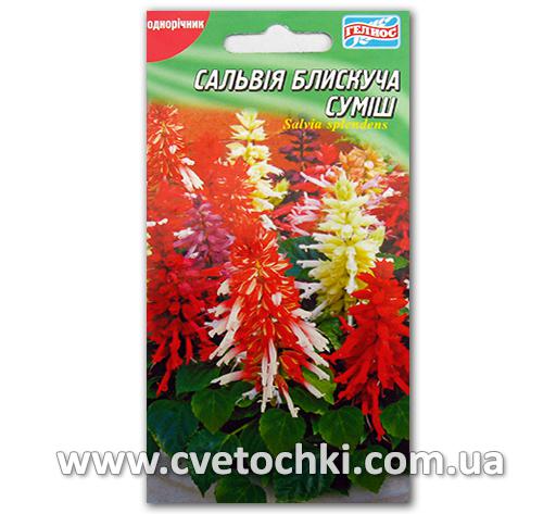Сальвия блестяшая, смесь (0,1 г)