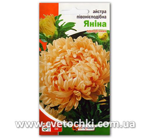 Астра пионоподобная «Янина» (0,3г)