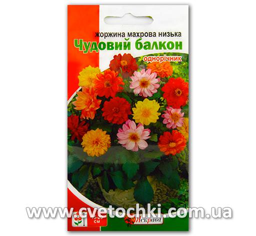 Георгина махровая низкая «Чудесный балкон» (0,3 г)