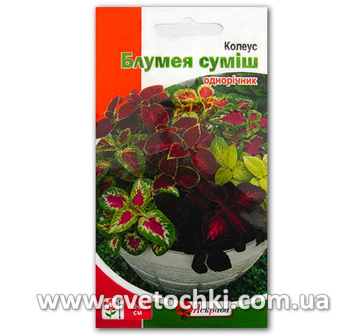 Колеус «Блумея», смесь (0,1 г)