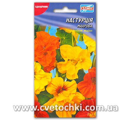Настурция махровая (8 шт.)