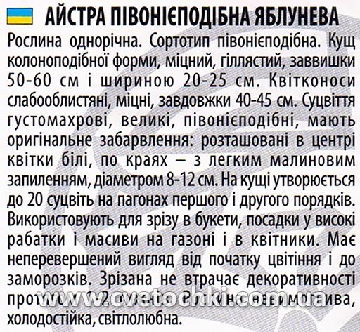 Астра пионоподобная «Яблочная», ТМ «Велес»