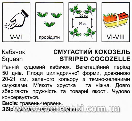 Кабачок «Полосатый кокозель», ТМ «Коуэл»