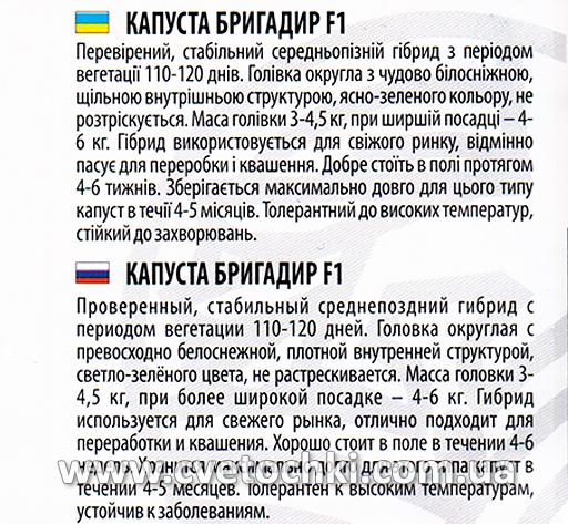 Капуста «Бригадир F1», ТМ «Велес»