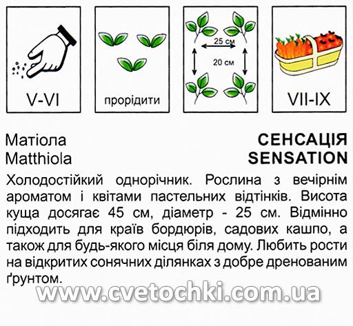 Маттиола «Сенсация», ТМ «Коуэл»
