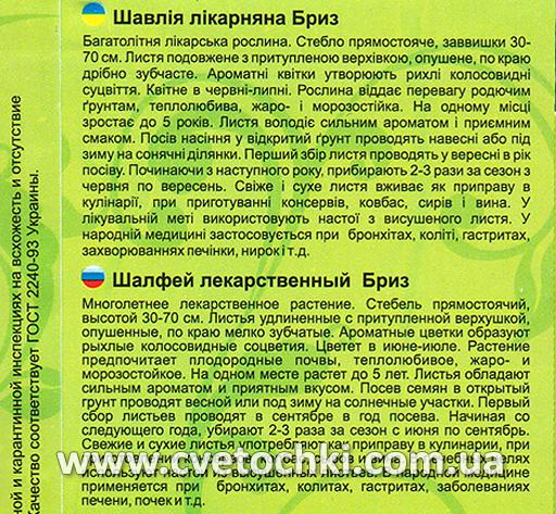 Шалфей лекарственный «Бриз», ТМ «Велес»