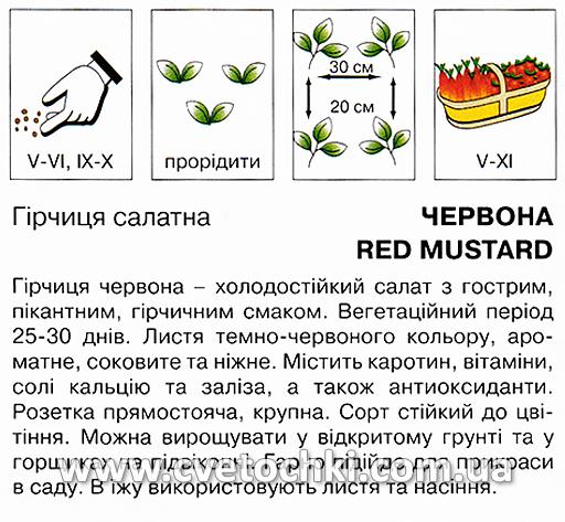 Гірчиця салатна «Червона» (1 г), ТМ «Коуел»
