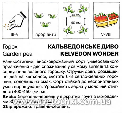 Горох «Кельведонське диво» (5 г), ТМ «Коуел»