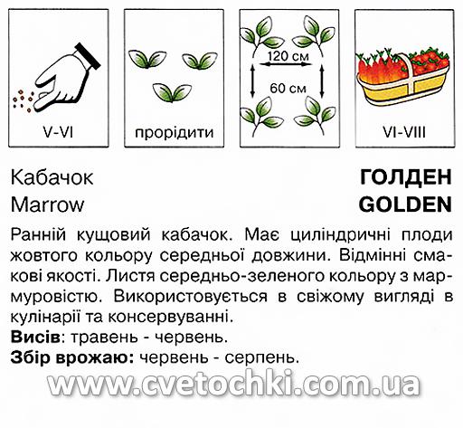 Кабачок «Голден» (5 шт.), ТМ «Коуел»