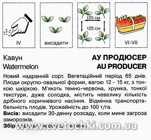 Кавун «АУ Продюсер» (20 шт.), ТМ «Коуел»