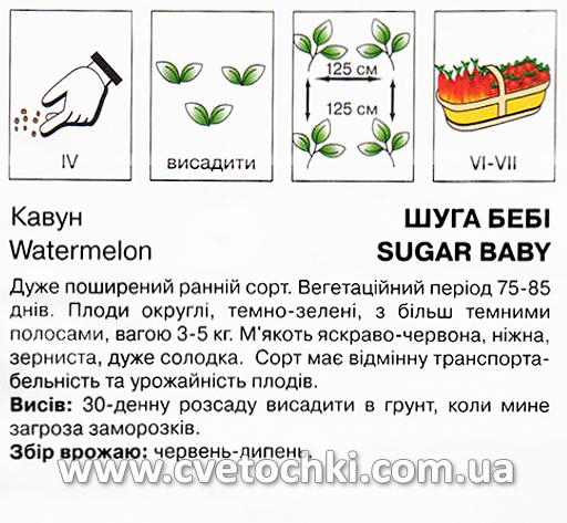 Кавун «Шуга бейбі» (2 г), ТМ «Коуел»