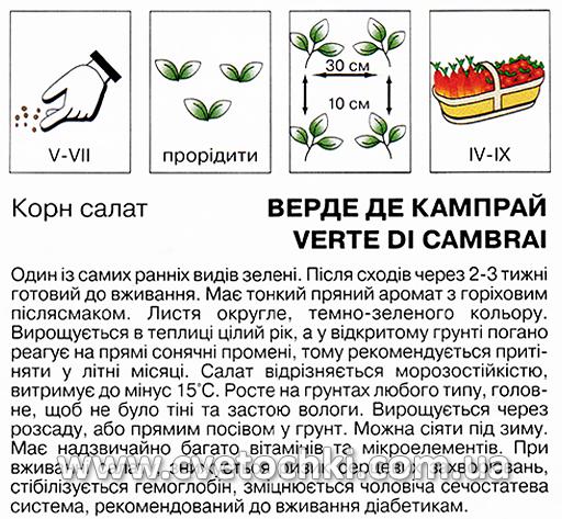 Корн салат «Верде де Кампрай» (1 г), ТМ «Коуел»