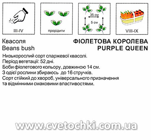 Квасоля «Фіолетова королева» (10 г), ТМ «Коуел»