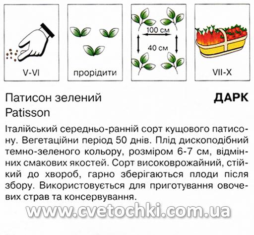 Патисон зелений «Дарк» (20 шт.), ТМ «Коуел»