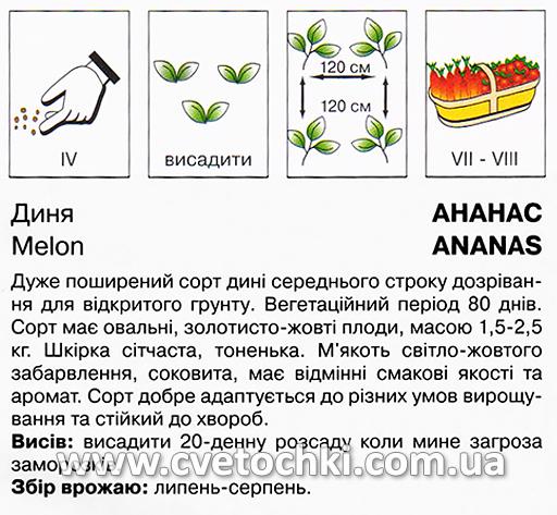 Диня «Ананас» (1 г), ТМ «Коуел»