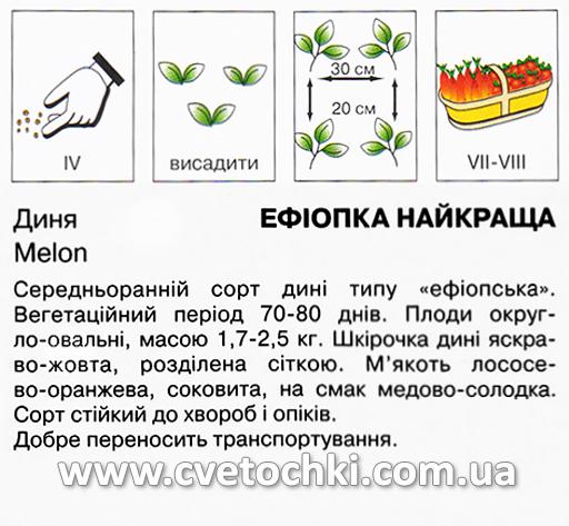 Диня «Ефіопка найкраща» (20 шт.), ТМ «Коуел»