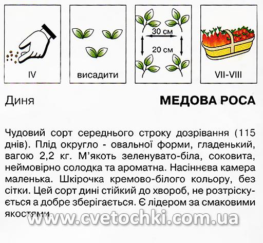 Диня «Медова роса» (20 шт.), ТМ «Коуел»
