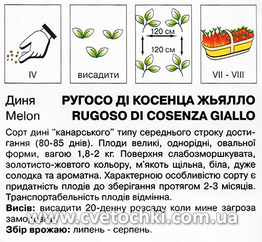 Диня «Ругосо ді Косенца Жьялло» (20 шт.), ТМ «Коуел»