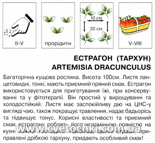 Естрагон/тархун (0,1 г), ТМ «Коуел»