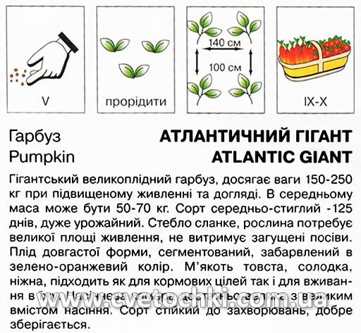Гарбуз «Атлантичний гігант» (10 шт.), ТМ «Коуел»