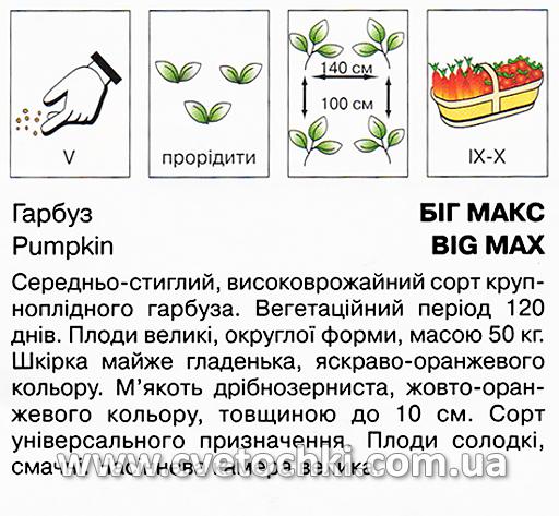 Гарбуз «Біг Макс» (10 шт.), ТМ «Коуел»