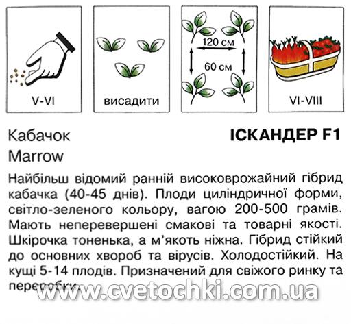 Кабачок «Іскандер F1» (10 шт.), ТМ «Коуел»
