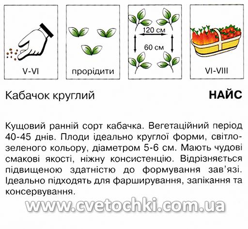 Кабачок «Найс» (5 шт.), ТМ «Коуел»