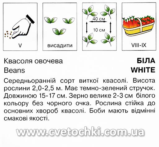 Квасоля овочева біла (10 г), ТМ «Коуел»