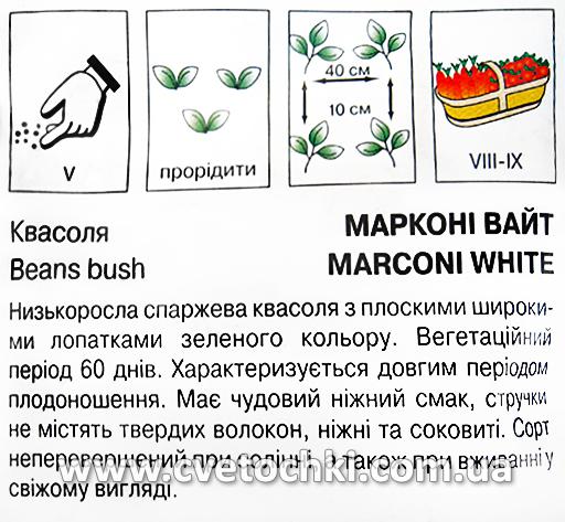 Квасоля спаржева «Марконі вайт» (10 г), ТМ «Коуел»