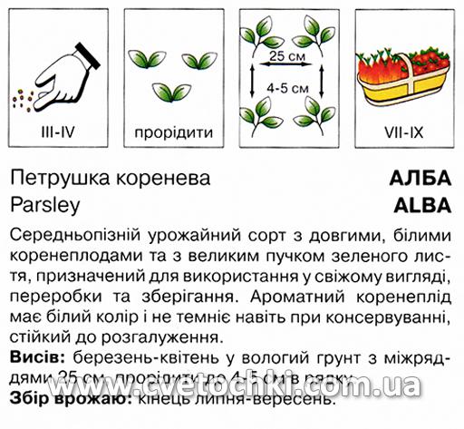 Петрушка коренева «Альба» (3 г), ТМ «Коуел»