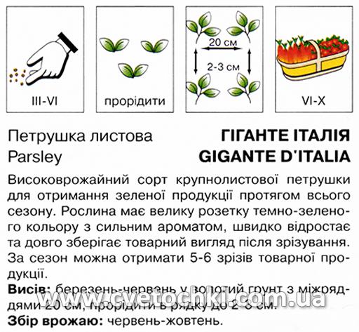 Петрушка листова «Гіганте Італія» (15 г), ТМ «Коуел»