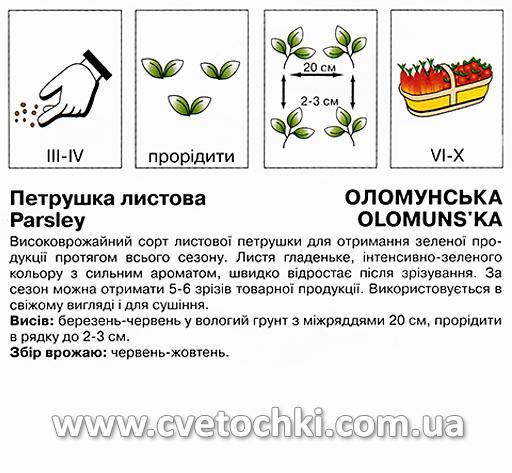 Петрушка листова «Оломунська» (15 г), ТМ «Коуел»