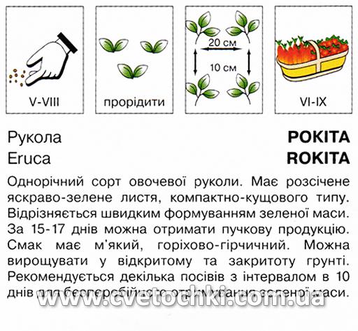 Рукола «Рокіта» (1 г), ТМ «Коуел»