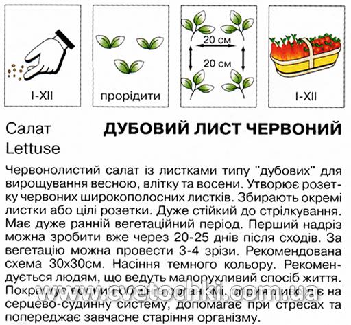 Салат «Дубовий лист» червоний (1 г), ТМ «Коуел»